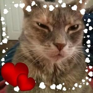 Meet your Posher, Del